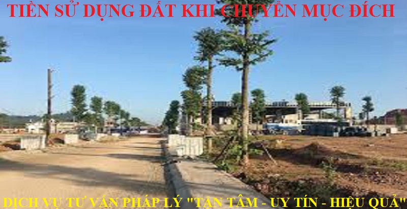 Dịch vụ tư vấn, giải quyết tranh chấp đất đai chuyên nghiệp