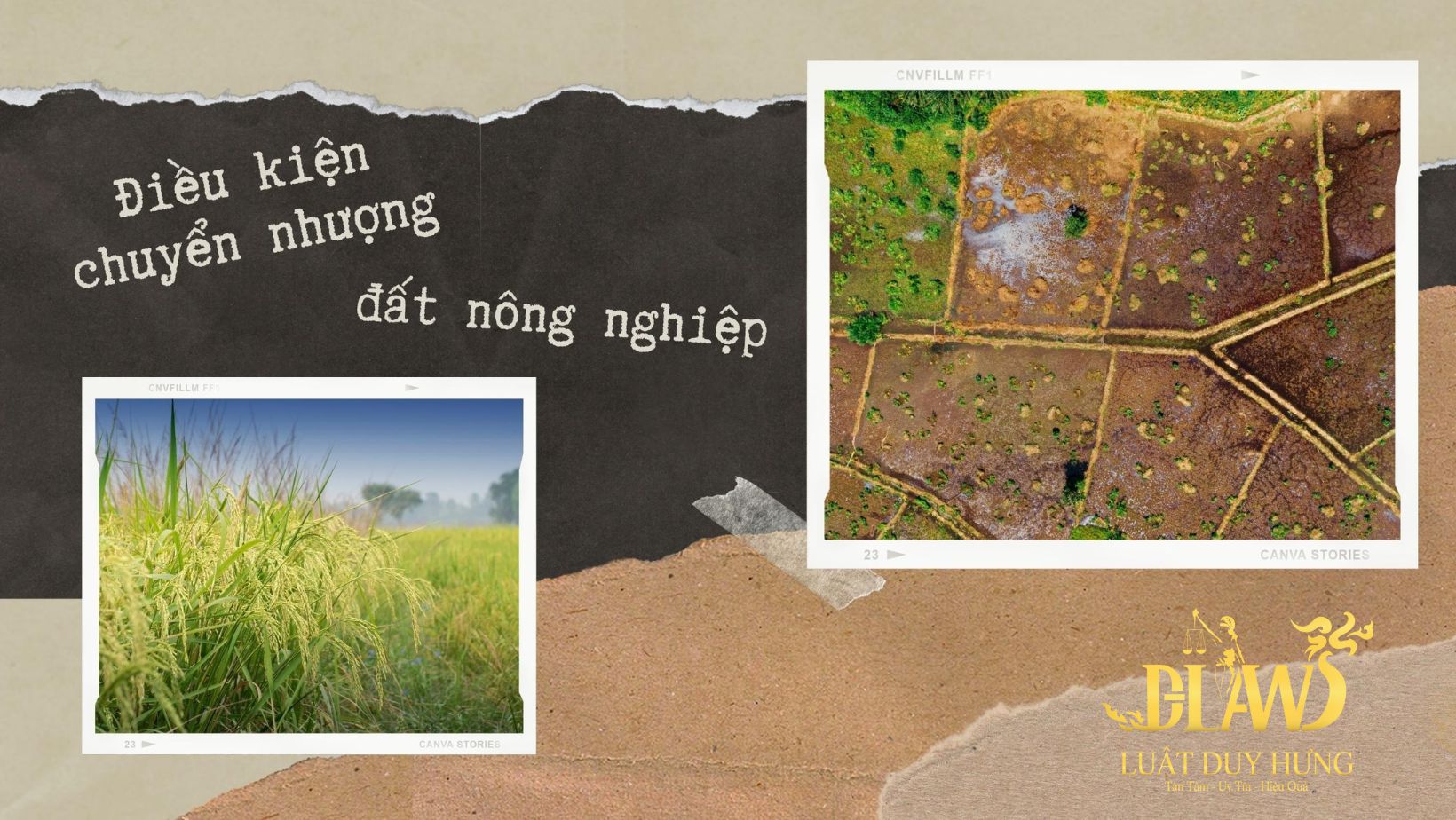 điều kiện chuyển nhượng đất nông nghiệp