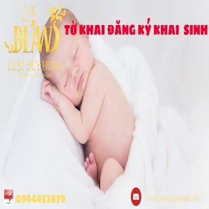 Tờ khai đăng ký khai sinh