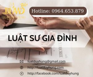 luat-su-gia-dinh-cover