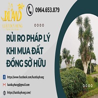 Rủi ro pháp lý khi mua đất đồng sở hữu