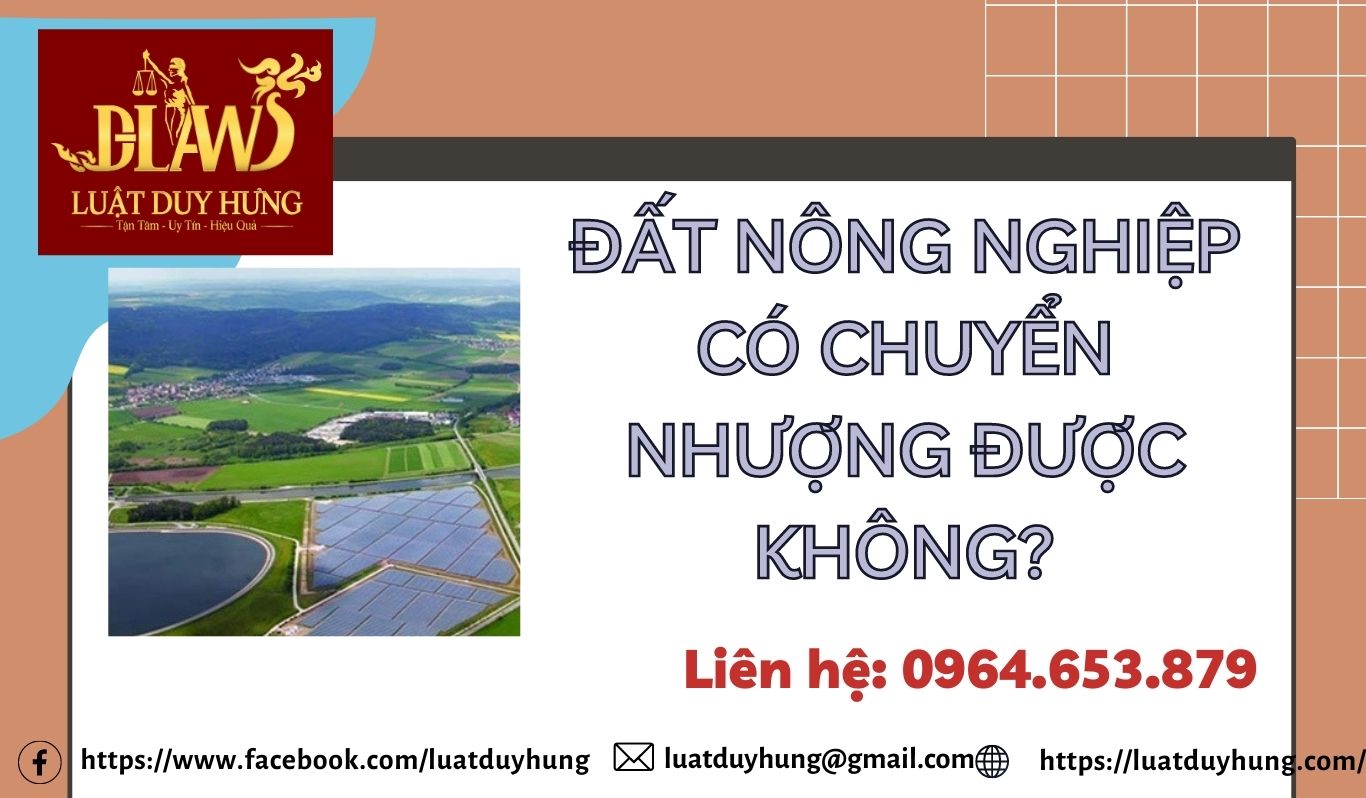 Đất nông nghiệp có chuyển nhượng được không