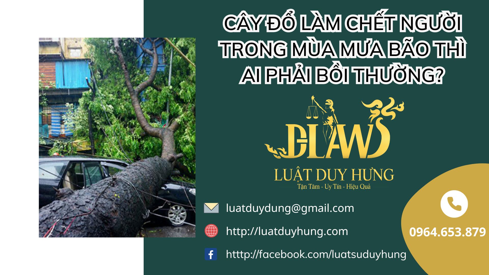 cây đổ làm chết người