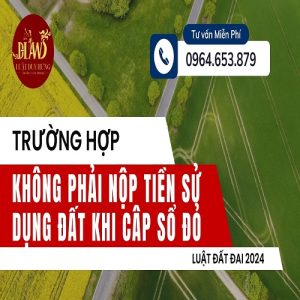 Không phải nộp tiền sử dụng đất