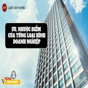 ƯU VÀ NHƯỢC ĐIỂM CỦA TỪNG LOẠI HÌNH DOANH NGHIỆP