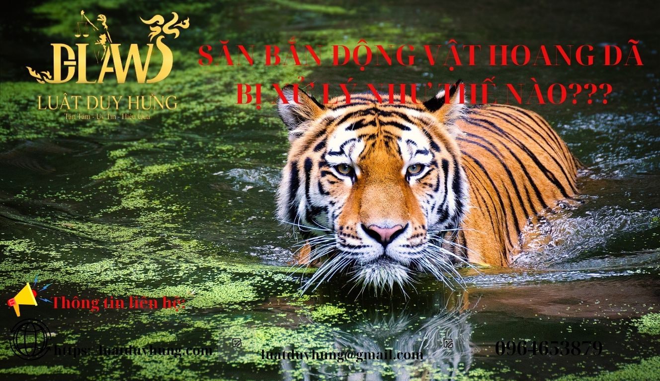 Săn bắn động vật hoang dã