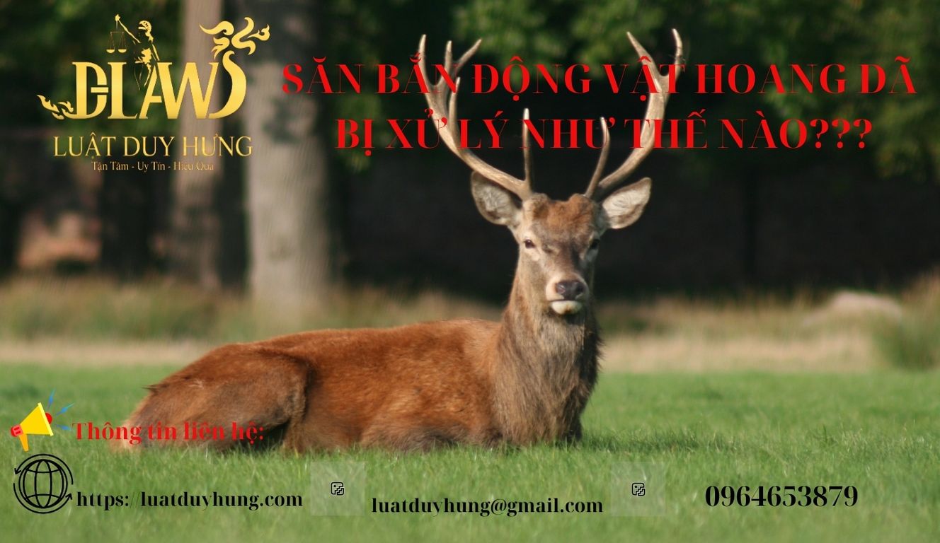 Săn bắn động vật hoang dã
