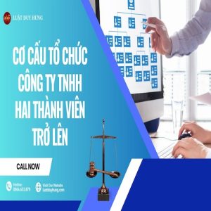 CƠ CẤU TỔ CHỨC CÔNG TY TNHH HAI THÀNH VIÊN TRỞ LÊN