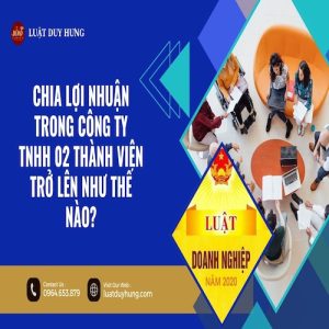 CHIA LỢI NHUẬN TRONG CÔNG TY TNHH 02 THÀNH VIÊN TRỞ LÊN NHƯ THẾ NÀO?