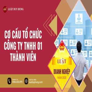 CƠ CẤU TỔ CHỨC CÔNG TY TNHH 01 THÀNH VIÊN