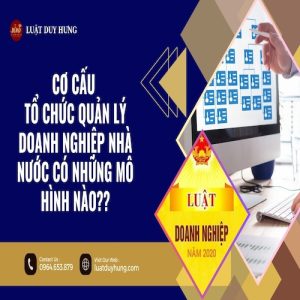 CƠ CẤU TỔ CHỨC QUẢN LÝ DOANH NGHIỆP NHÀ NƯỚC CÓ NHỮNG MÔ HÌNH NÀO??