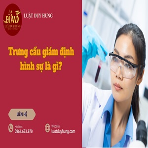 Trưng cầu giám định hình sự là gì