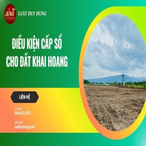 ĐIỀU KIỆN CẤP SỔ ĐỎ CHO ĐẤT KHAI HOANG