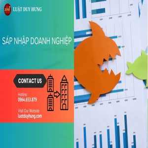 SÁP NHẬP DOANH NGHIỆP