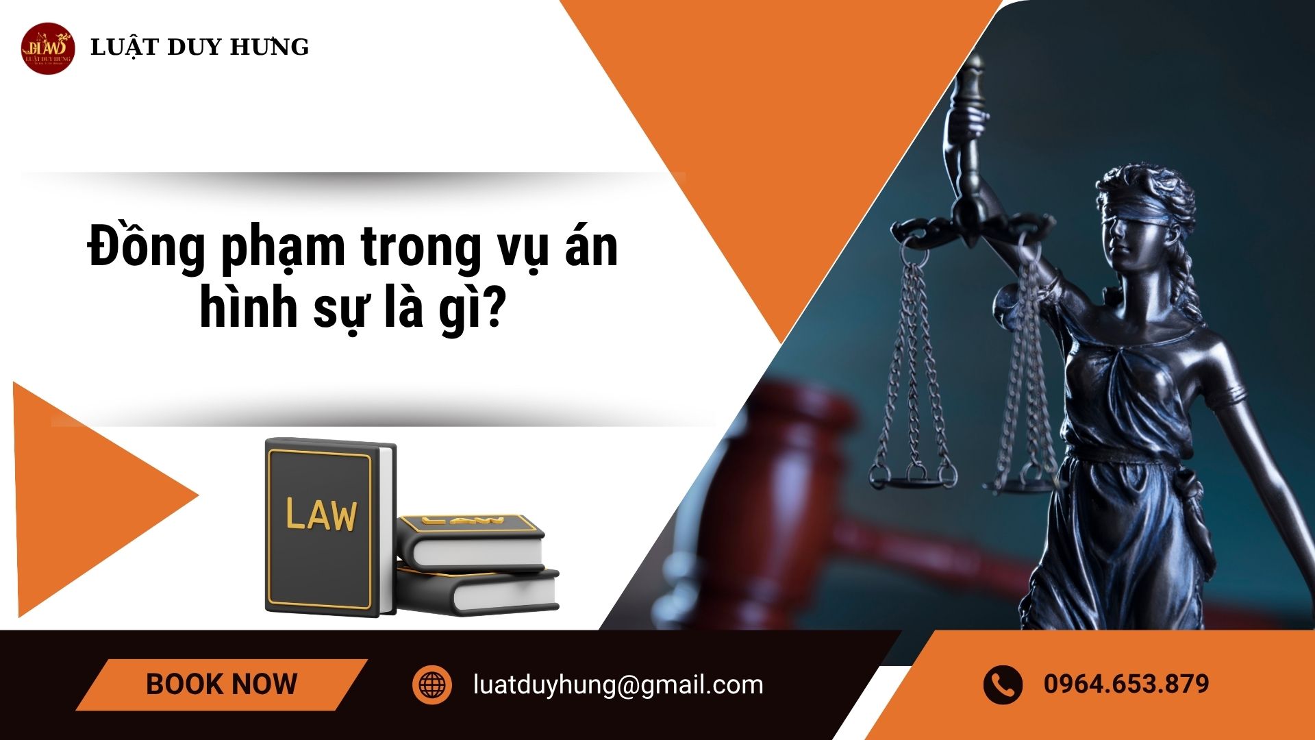 Đồng phạm trong vụ án hình sự là gì