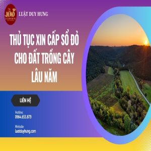 THỦ TỤC TÁCH THỬA, HỢP THỬA ĐẤT MỚI NHẤT