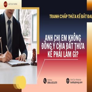 ANH CHỊ EM KHÔNG ĐỒNG Ý CHIA ĐẤT THỪA KẾ PHẢI LÀM GÌ?